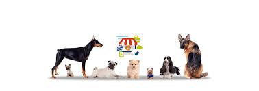 You are currently viewing Discover the Ultimate Convenience of Shopping at a Premium Pet Online Store